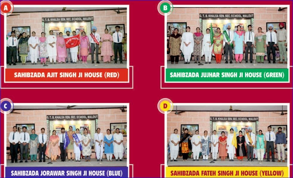 4 houses of the school